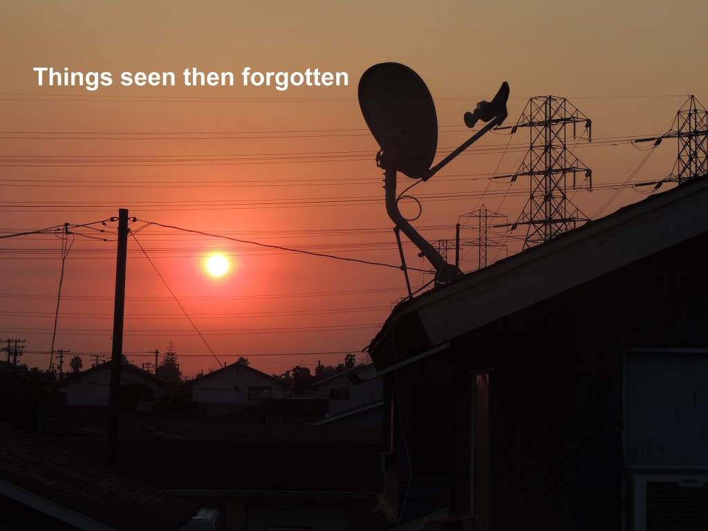 Things seen then&nbsp;forgotten